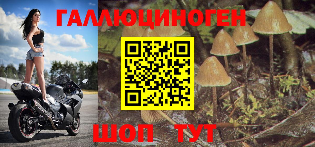 Галлюциногенные грибы мицелий  Вход с VPN  Арзамас 
